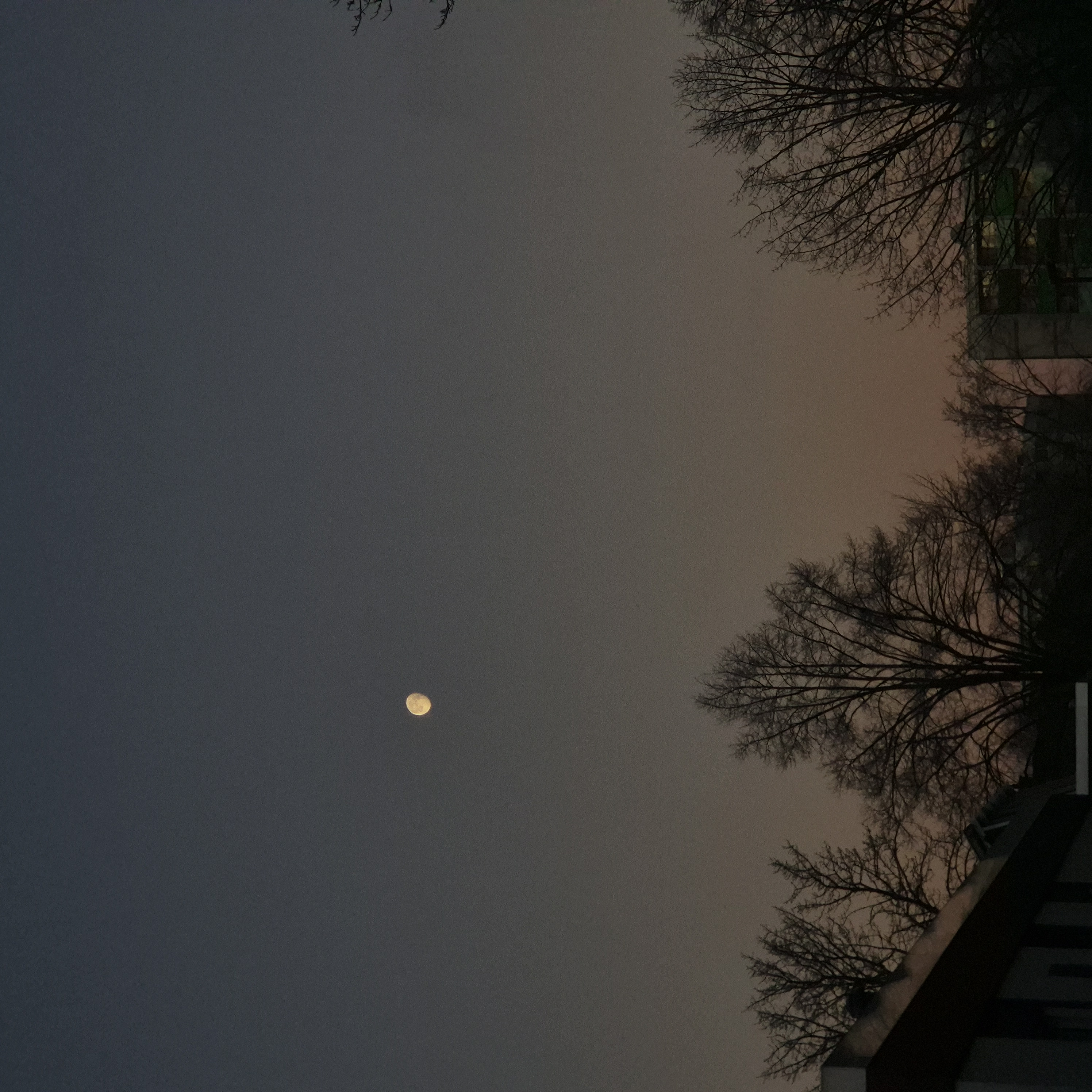 Kim Habnitsaa-banner