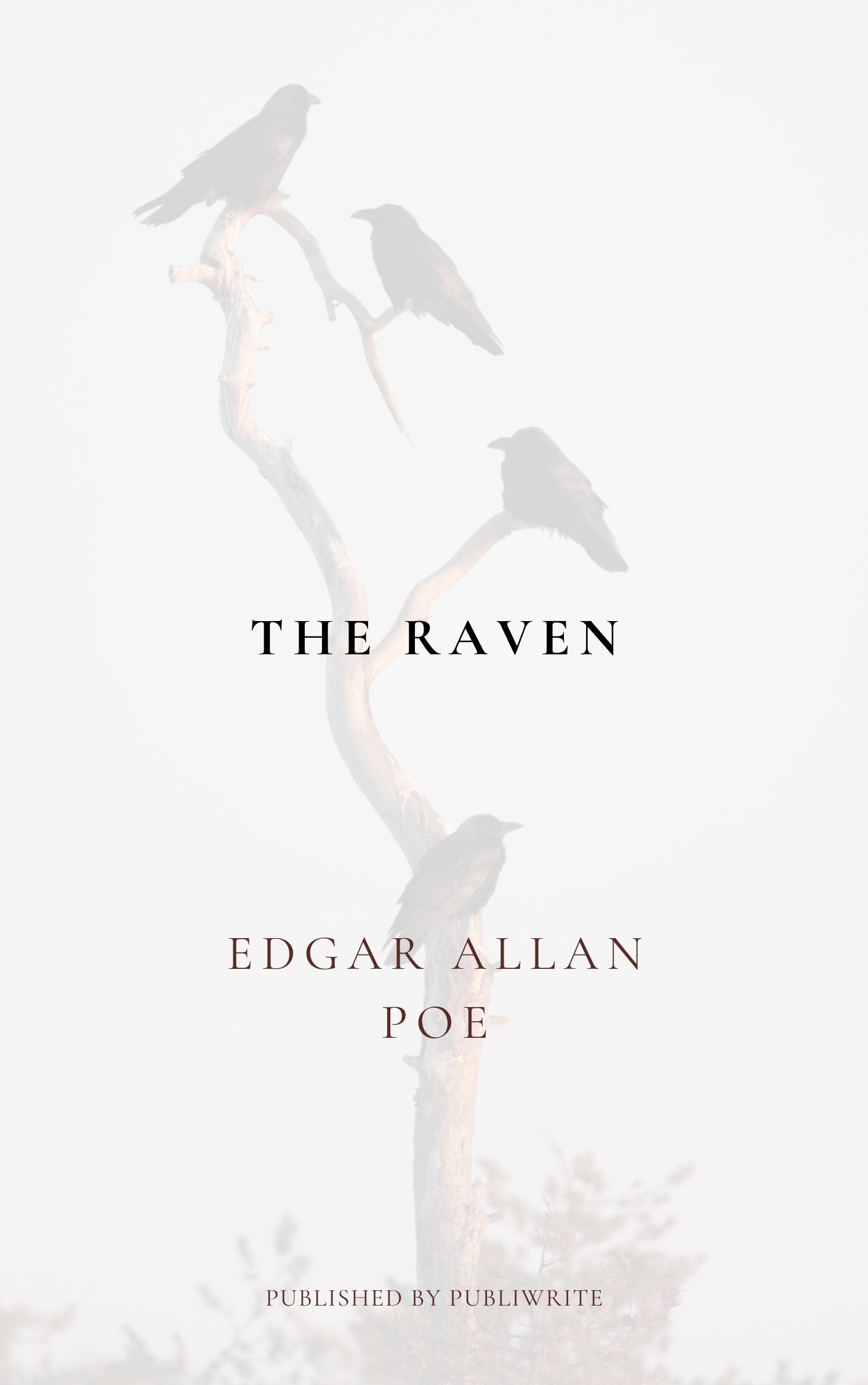The Raven