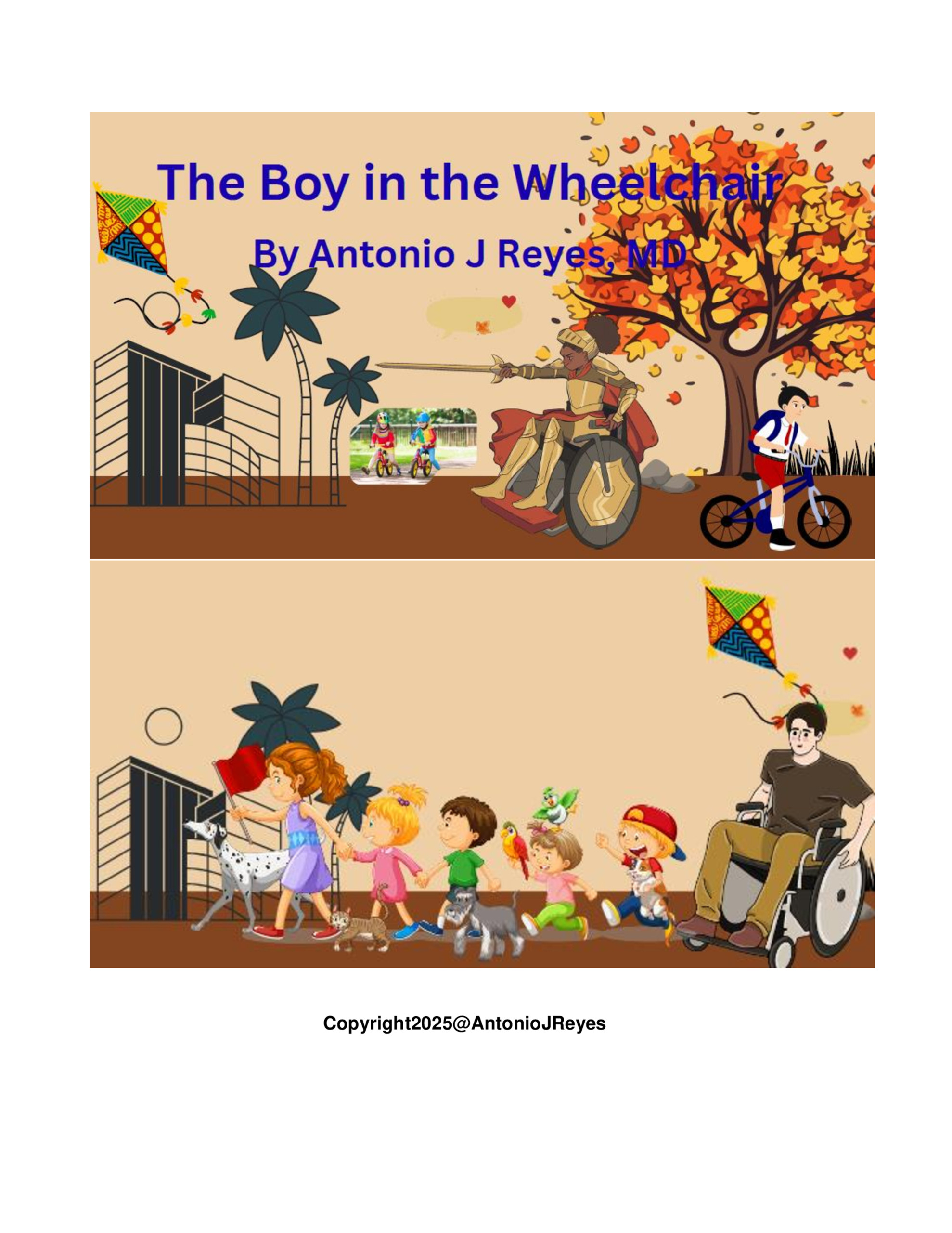 The Boy in the Wheelchair