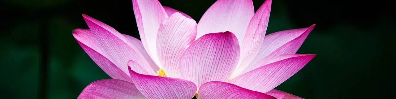 Audrey Green-banner