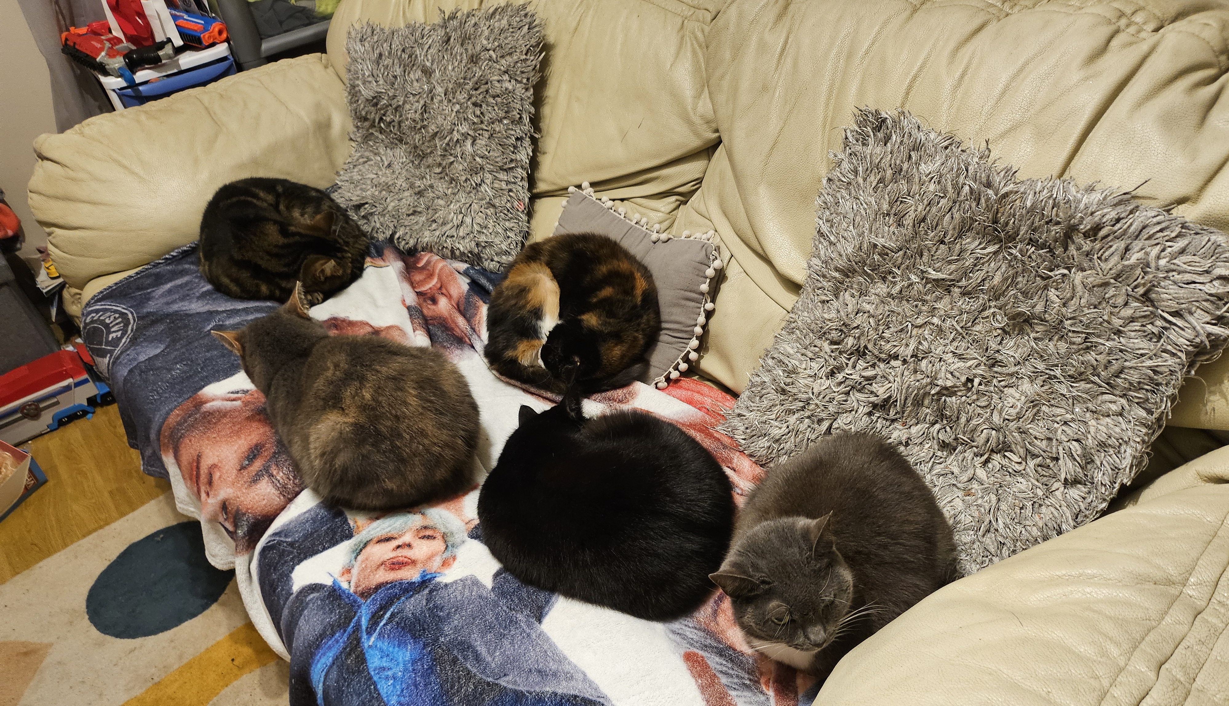 Melissa Bennett-banner